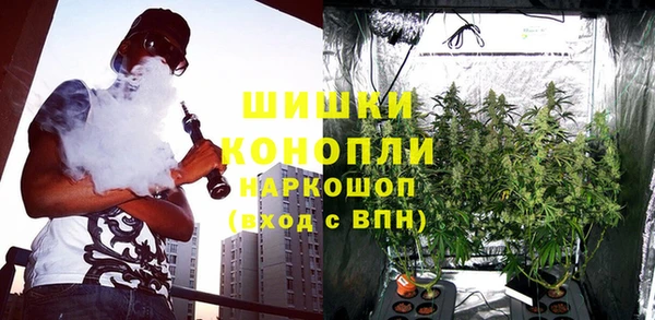 крисы Беломорск