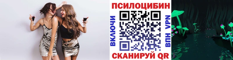 мега как зайти  Тулун  Галлюциногенные грибы мухоморы 